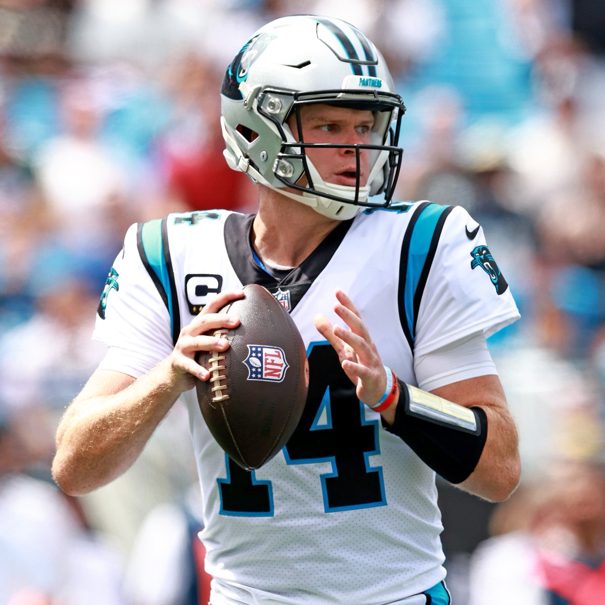 Action Network tweet media