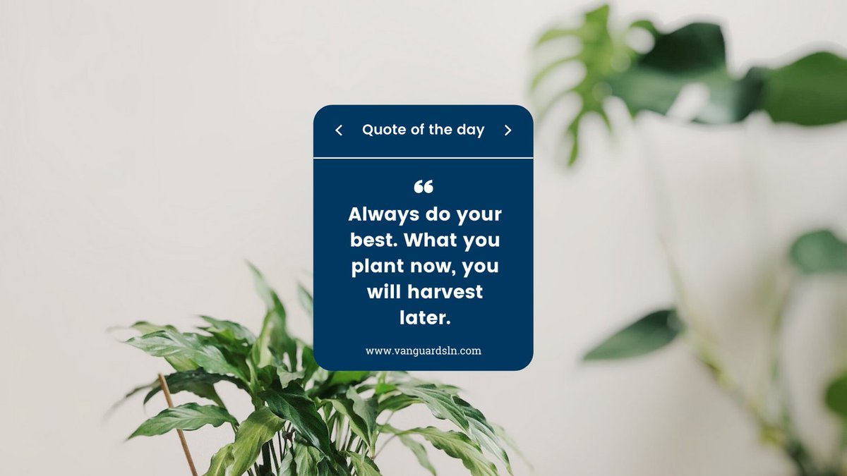 Vanguardsln's tweet photo. Friday Motivation 🤩

Visit https://t.co/Oj2U1LjTBw for exciting services.

#rightchoices #pathforward #growyourbusiness #webdesign #webdevelopment #vanguard #vanguardsln #vanguardsolution #vsln @vanguardsln https://t.co/l0HHQdkVsp