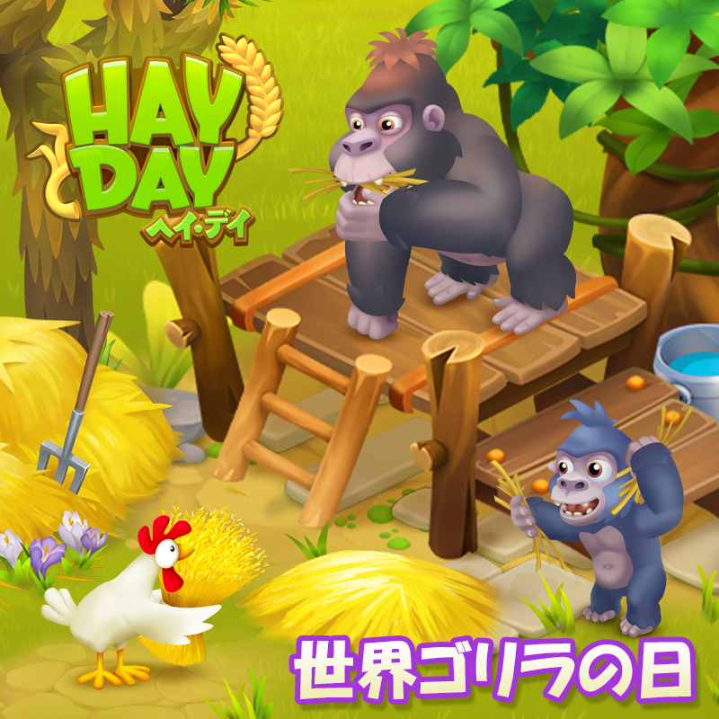 ヘイ デイ公式 おはようございます 今日は 世界ゴリラの日 ゴリラはバナナを食べるイメージがありますが 彼らの生息域にバナナは自生していないため食べる習慣がないそうです ヘイデイ でも小麦セットが餌として用意されていますよね ゴリラを