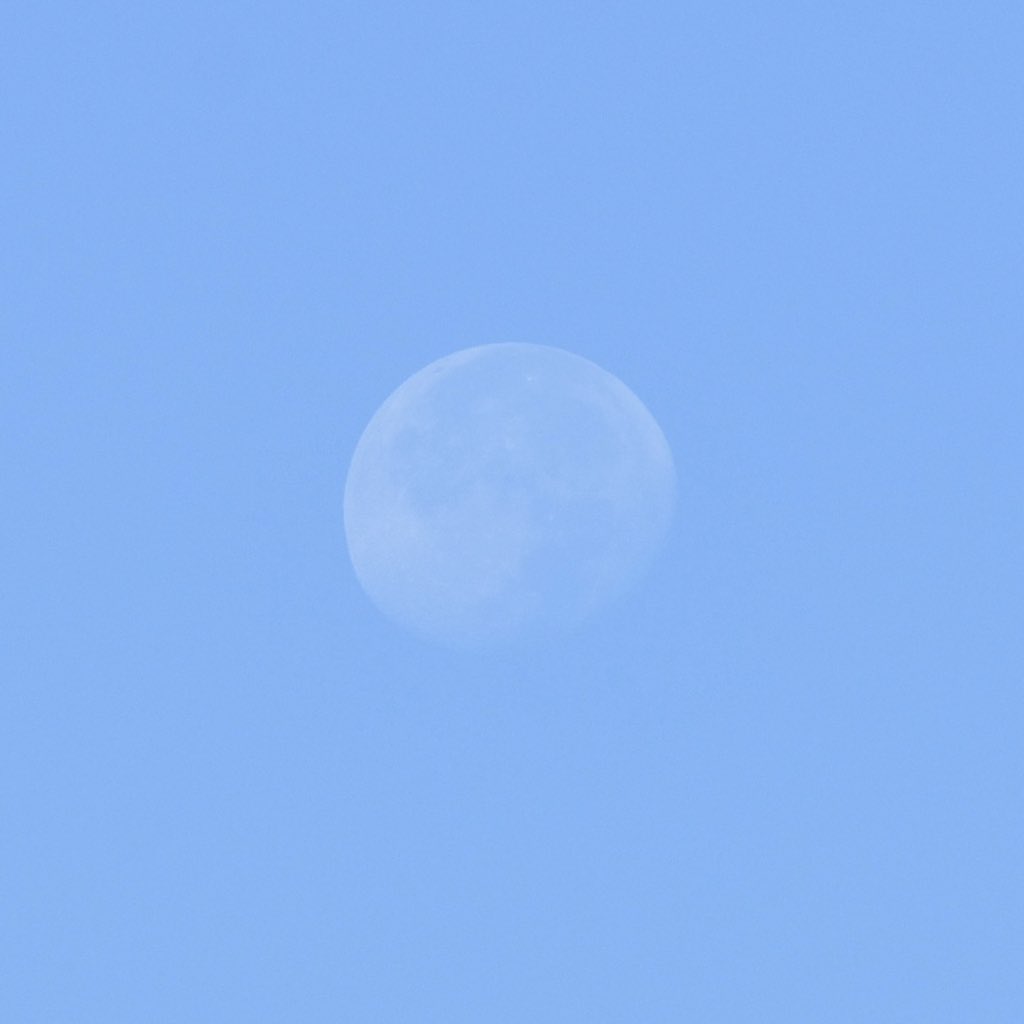_sometimesmoon tweet picture