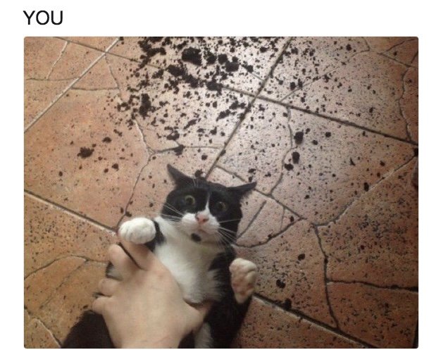 underplanet49's tweet photo. @general_sthe https://t.co/i0iiYawtNT