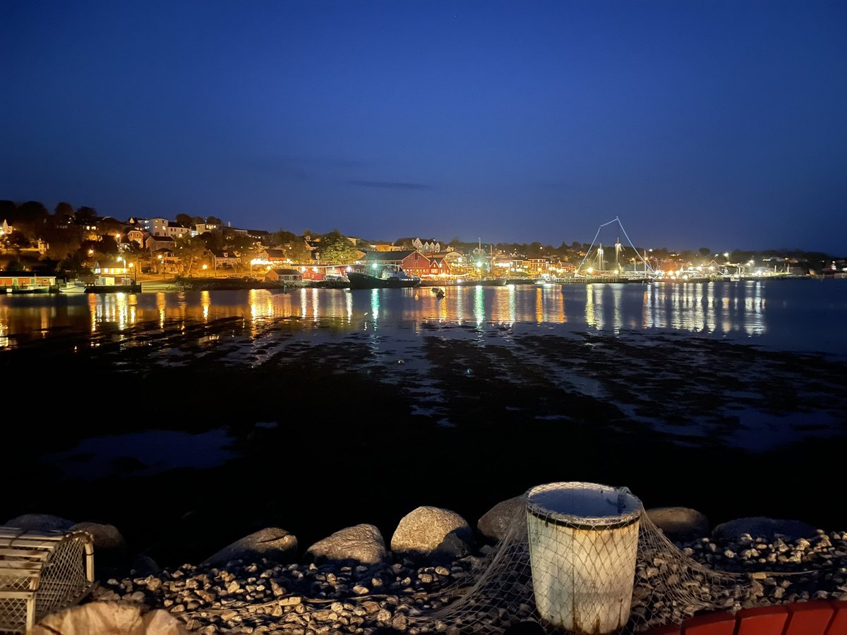 Jane Berrigan tweet media