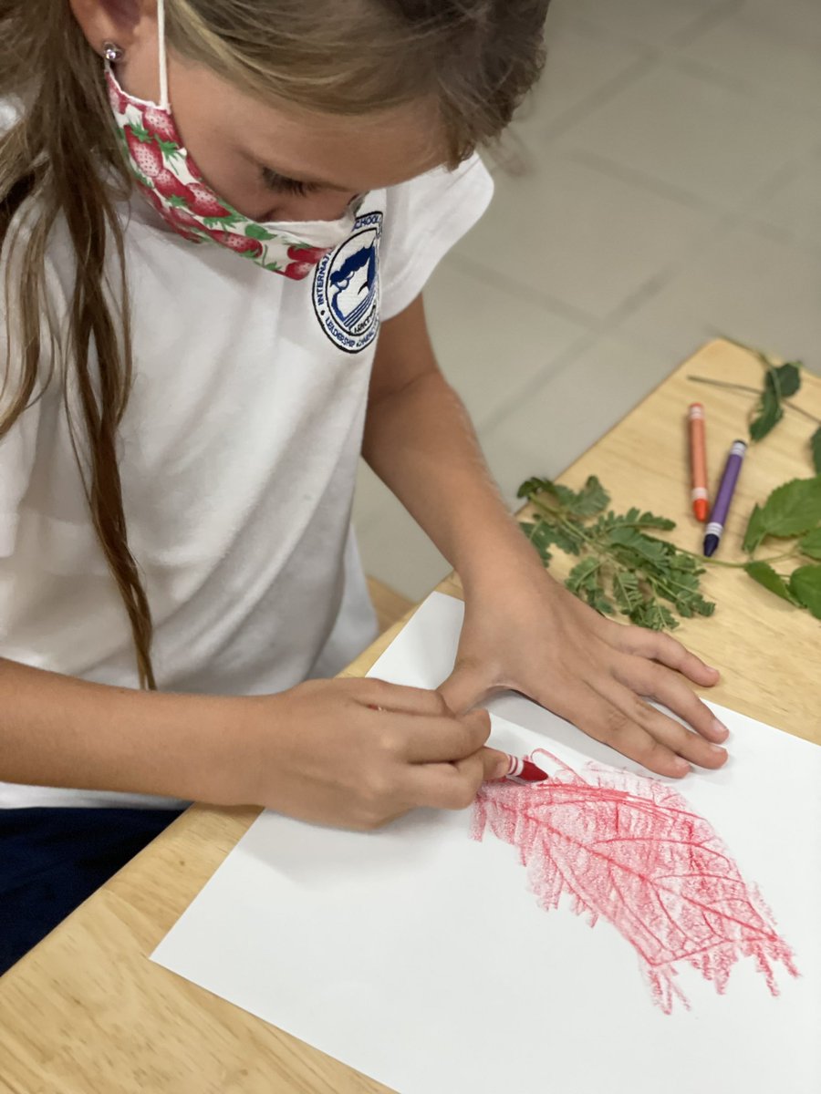 Crisaua's tweet photo. #MysteryScience Fall lesson.
Arranging leaves from smallest to largest using #GoMath unit on measurement #LeafTracing for Art and just enjoying our natural resources #ISAruba Great #STEAM learning! #ISSedu https://t.co/J8ccduYGoV