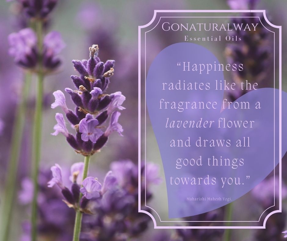 gonatway's tweet photo. https://t.co/1ySBWAyqh1