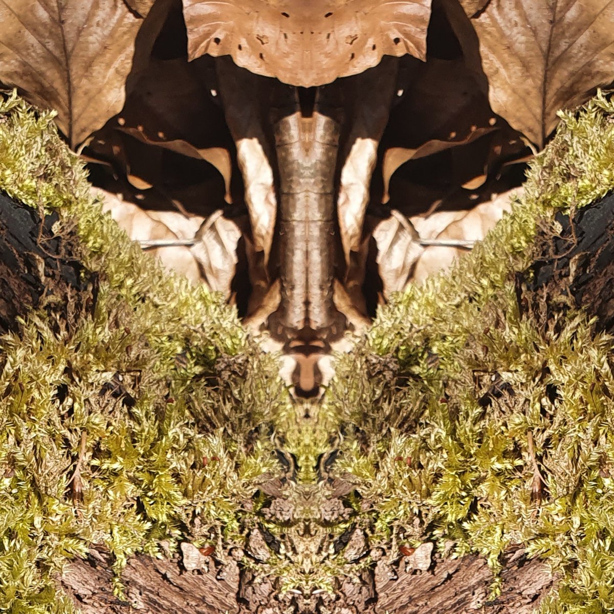 notyourstepbrother (@nysb__) on Twitter photo 