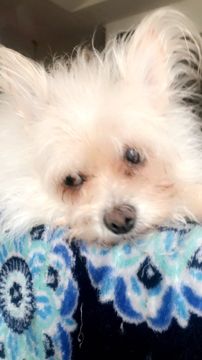 I know how to look cute before breakfast. It comes naturally. 😎