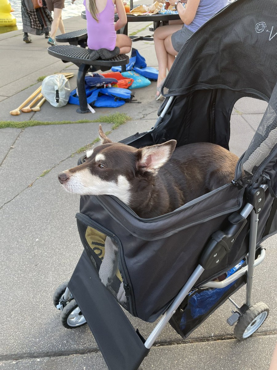 Anakin32905541's tweet photo. 🎶 Cruisin’ in my roller round Lake Harriet!

🎶 Papa hauled me, I gotta chariot, 

🎶 Saw a dog use the Biffy, mama could help but stare at it… https://t.co/yrldo8aukI