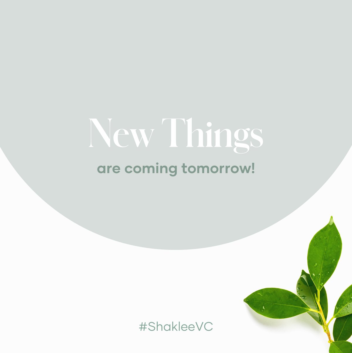 ShakleeHQ's tweet photo. Can't wait to announce the new innovations to you! We'll share starting tomorrow and throughout the weekend. Are you attending #ShakleeVC? If so, reply with where you're streaming from! https://t.co/E4fXGCJUKV