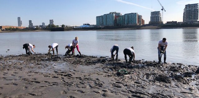 contactsaraegan's tweet photo. #GreatBritishBeachClean with @Thames21 and @BNPParibasUK this week in the mud and sun #1MH2H @ScarrTracey https://t.co/zBbJYlHqWD