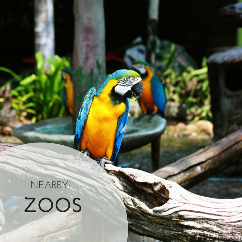 EmpireLanding's tweet photo. The Los Angeles Zoo and Botanical Gardens is a short drive away from Empire Landing and is a great way to spend an afternoon. View their upcoming events, here: https://t.co/KlRMwImLRf https://t.co/Q2rls96Yd8