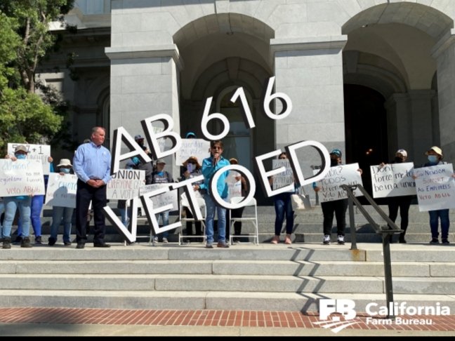Farm employees thank <a href="/GavinNewsom/">Gavin Newsom</a> for vetoing AB 616 and protecting our right to a secret ballot election. <a href="/CAFarmBureau/">California Farm Bureau</a> <a href="/growershipper/">Grower-Shipper Assoc</a> <a href="/CAFarmTeam/">California Farm Bureau FarmTeam</a> <a href="/CalFreshFruit/">Cal Fresh Fruit</a> <a href="/CaCitrusMutual/">California Citrus Mutual</a> <a href="/growershipper/">Grower-Shipper Assoc</a> #ProtectOurFarmEmployees #AB616Vetoed