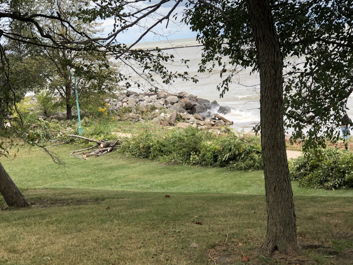 David Overall tweet media