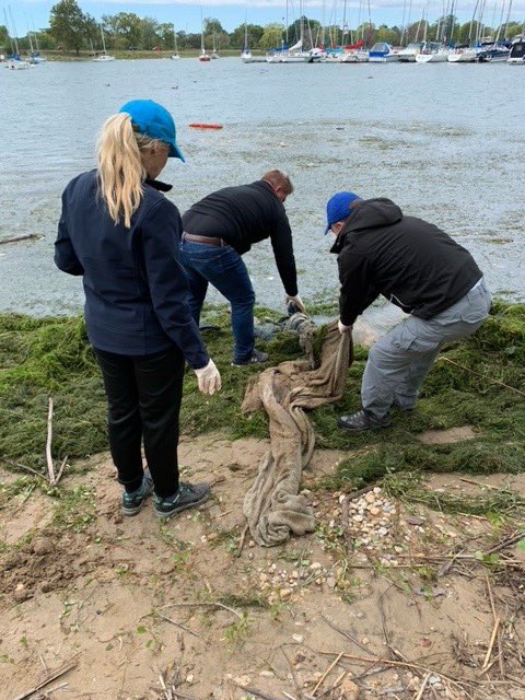 David Overall tweet media