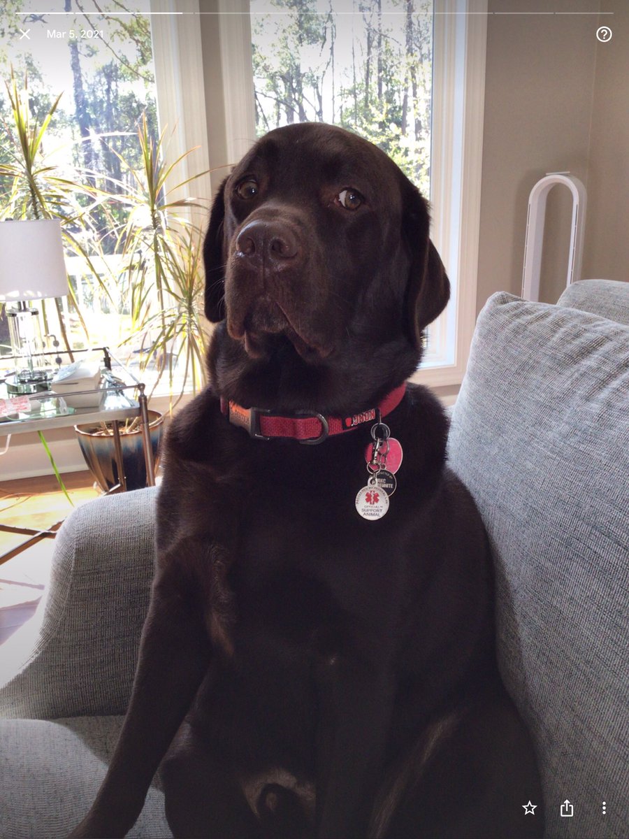 Max1The tweet picture