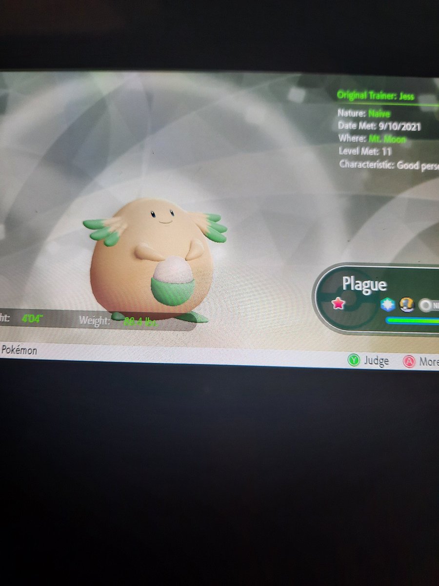 IvyFlare's tweet image. First shiny of #LetsGoWeek2021 is actually not a dupe. Everyone else has seen a million of these, but this is my first one! Everyone, meet Plague the shiny Chansey 💫💫💫
