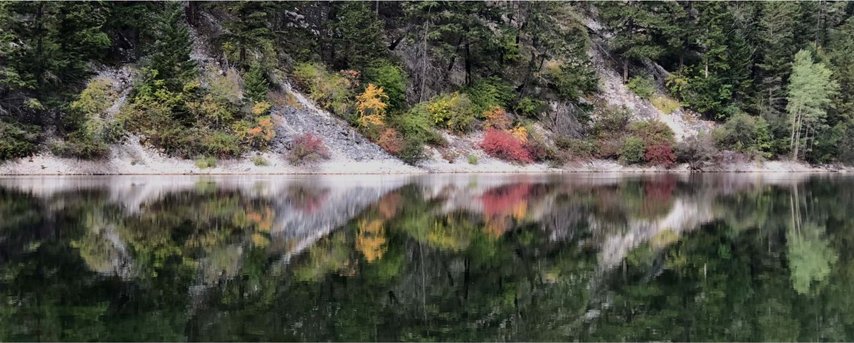 📷: Birgit Bienek 
Gold Country has many stunning lakes and remarkable trails for you to explore. Be prepared to show your vaccine passport, and follow current health guidelines while out.

#goldcountryBC #exploreBC #gconthetrail #KnowBeforeYouGo #StaySafe #FirstResponseTourism