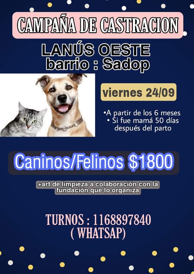 💙💜💚   L A N Ú S   💚💜💙 
CASTRACIONES A BAJO COSTO. 
facebook.com/photo/?fbid=54…