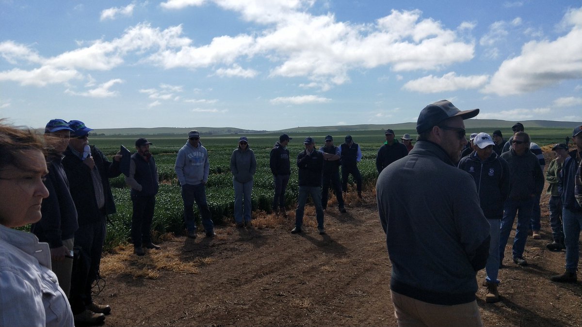 MidNorthHRZ's tweet photo. Graze for frost mitigation, if no sheep then mechanical mowing or rolling works too
#FrostLearningCentre #MNHRZSpringFieldDay
#Frost https://t.co/nDKfFVmRq5