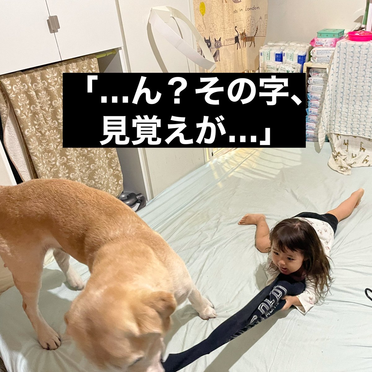 松本秀樹 犬と旅してた人 Macha Daichi Twitter 松本秀樹 犬と旅してた人 Macha Daichi Twitter