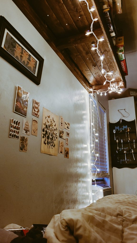youngcpain's tweet photo. Things have been better lately. Why am I always holding my breath when things are good? I can't help but wait for the moment my body gives out. But I have lots of nice fairy lights and local honey for toast and tea. I'll try to just breathe and enjoy these moments. 🍂 https://t.co/5zDuJvdkAk