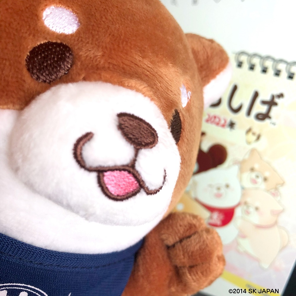 忠犬もちしば 公式 C Mochishiba Twitter 忠犬もちしば 公式 C Mochishiba Twitter