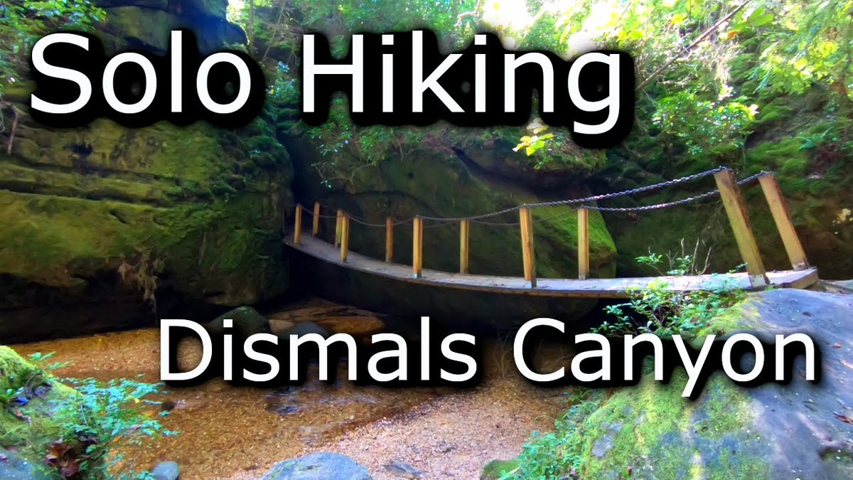 allthingstonyj's tweet photo. Solo Hiking in the Dismals Canyon...And I get lost! Go figure! Latest micro-adventure now live!
.
https://t.co/fsj6eJkrNk
.
#adventure #microadventure #dismalscanyon #exploration #hike #trailhiking #trail #alabamatrails #hikeal #athensal #visitnorthal #trending #awesome #fun https://t.co/0fnouRRkWG