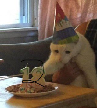 milfadyen's tweet photo. happy 2 years stinky <3 @dancepantsrae https://t.co/5mE4TNeyzk