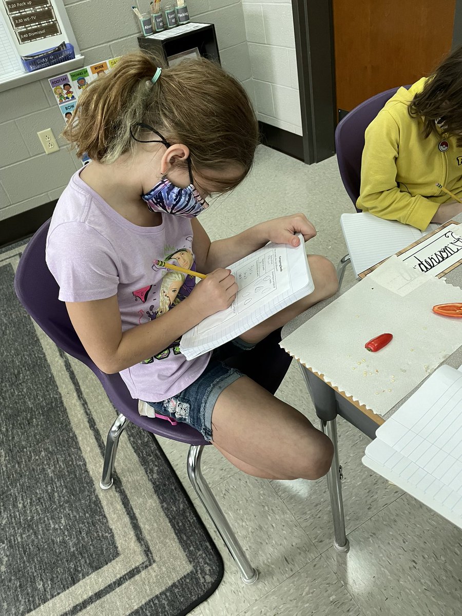 msbrownwes3's tweet photo. Scientists at work investigating seeds. 🌶 🍎 @WESpolarbears #becomebelongnycsd #WeStandTogether https://t.co/fusk2fOybo