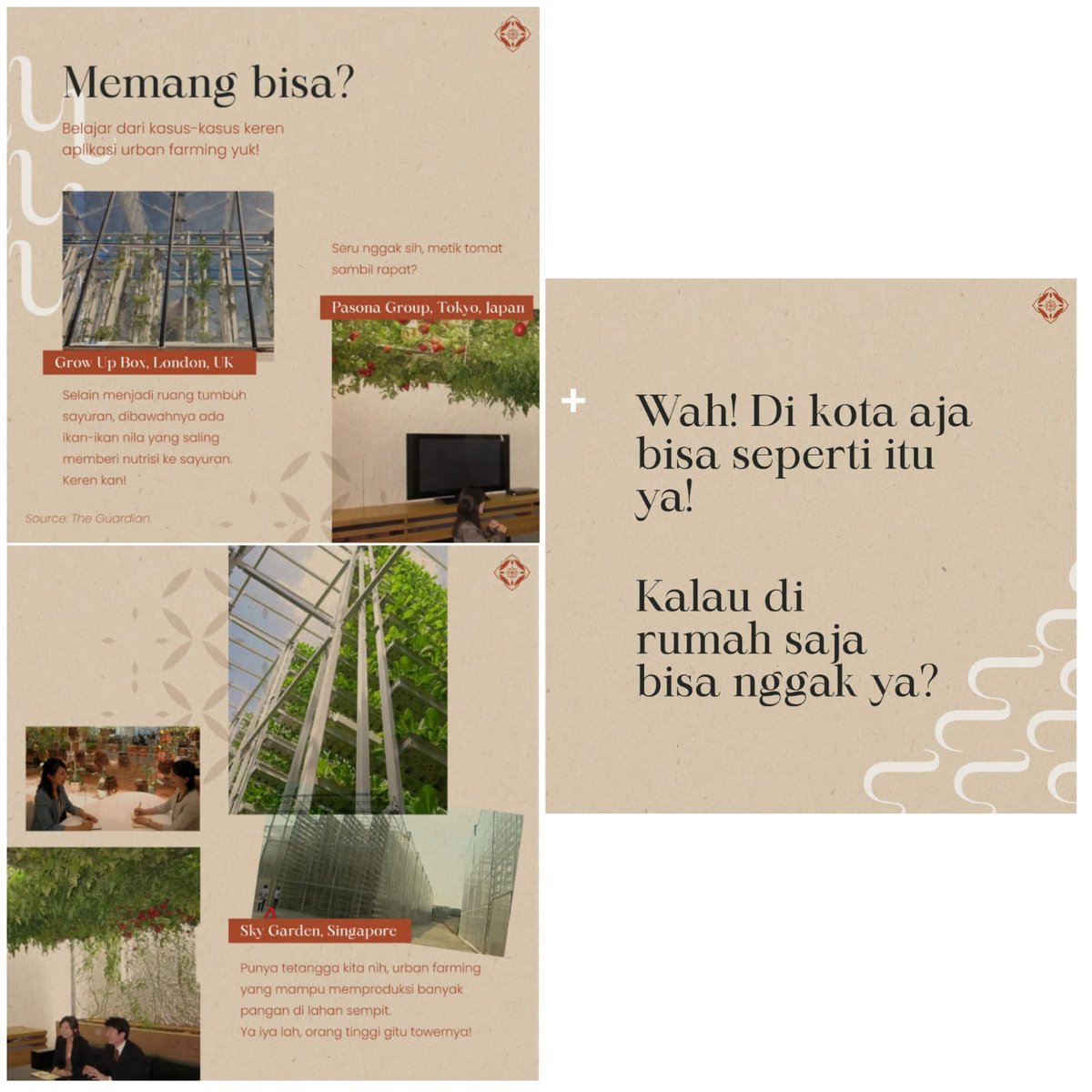 YohansliNoya175's tweet photo. Urban farming tentu saja menambah cantik kota tercinta. Tambah betah deh hidup di kota.
#SwasembadaAngan #lpdp_ri #IndonesiaTumbuhIndonesiaTangguh #DiriUntukNegeri #AkuPastiMengabdi#PK175
#pk175lpdpย #lpdpย #merahputih @pk175.lpdp @brin_indonesia @kemdikbud.ri @KemenkeuRI https://t.co/Gs7dRIS08P