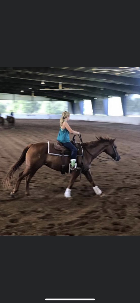 kkschiller's tweet image. Two things I know for sure: my daughter rides her horses at home with Split Reins and @KamalaHarris still hasn’t been to Del Rio and probably could not find it with Google Maps!