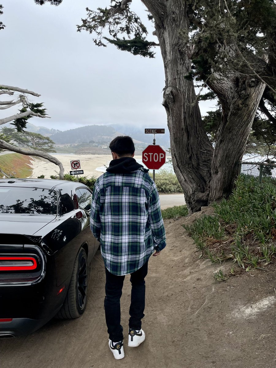 brandon tweet media