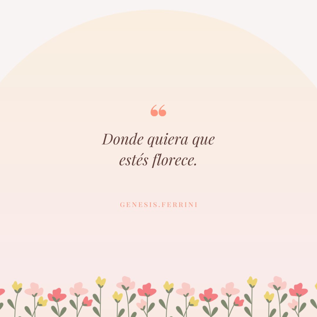 genesis_ferrini's tweet photo. 🌸 https://t.co/JDkdn7fl21