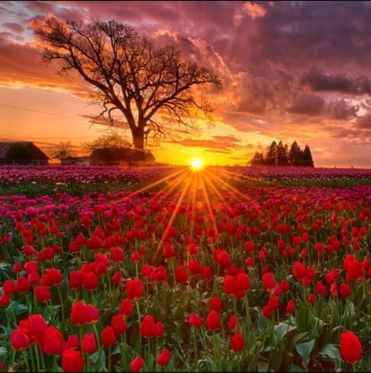 pretty_thinks's tweet photo. Seul dieu est libre,la liberté n’existe pas. https://t.co/AM1KXFKNEX