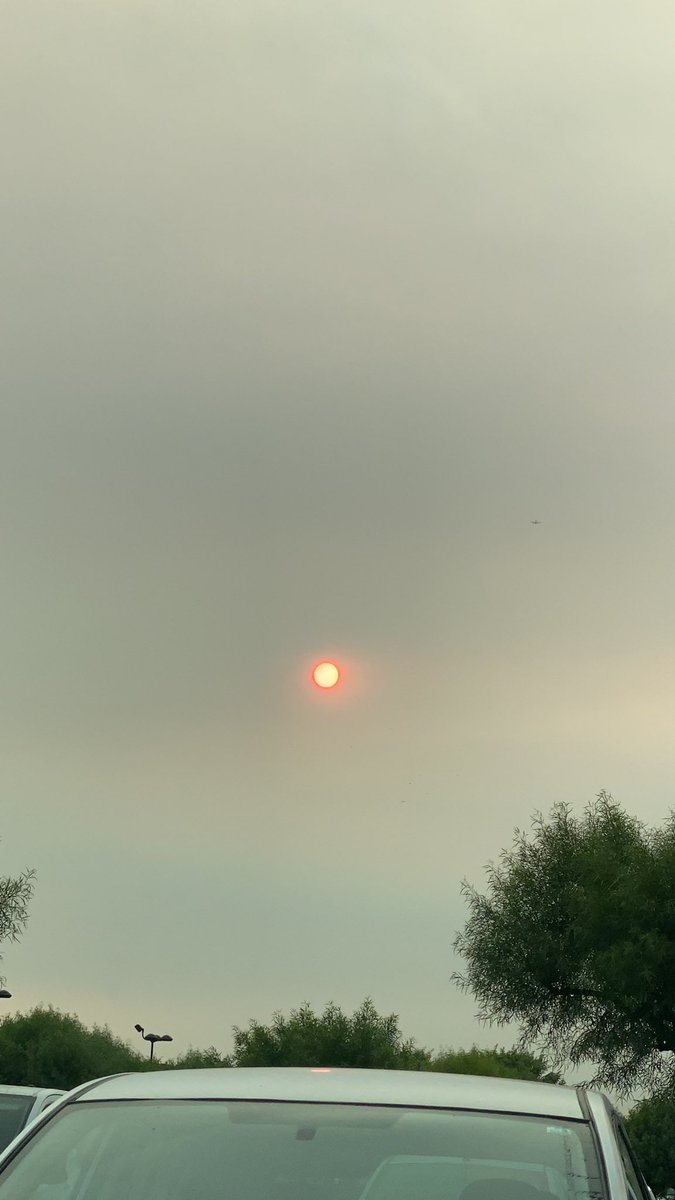 Buffalo Brison tweet media