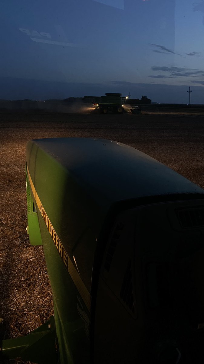 TheeNextChapter's tweet photo. Another nice evening for soybeans https://t.co/fWVgg0QMjK