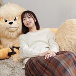 大人気ポケモン・ウインディがぬいぐるみになった!一緒に添い寝してくれると話題に!
