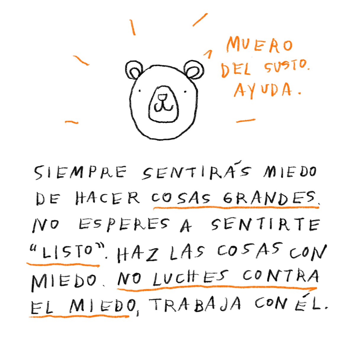 amaliaandrade_'s tweet photo. Holi 🐻 https://t.co/Ifekllvvj0