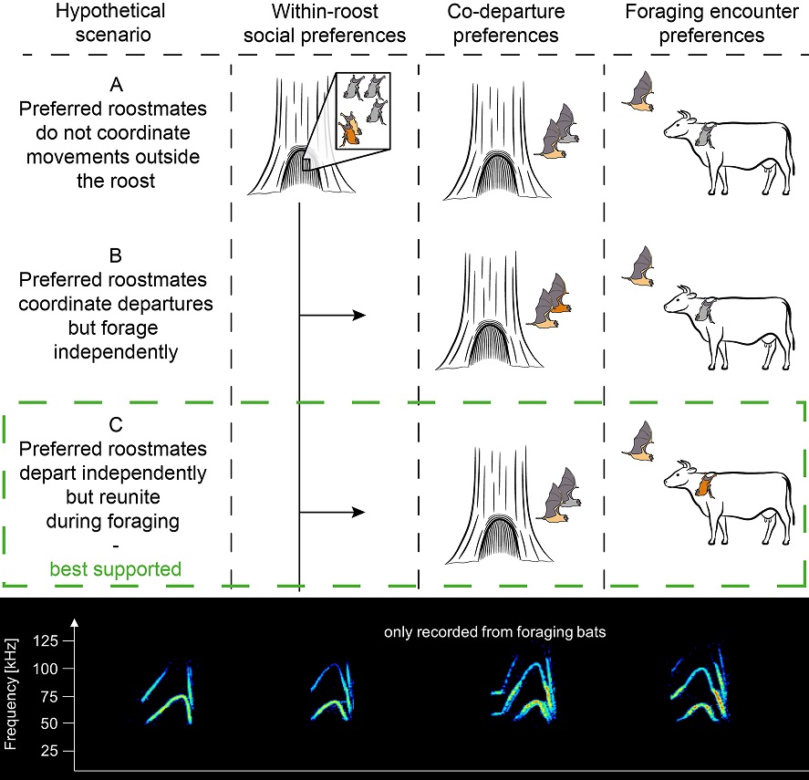 PLOS Biology tweet media