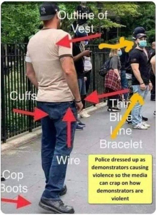 freedomrules21's tweet image. 