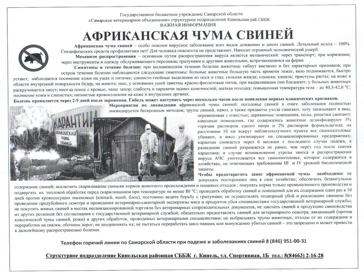 ASPKrasnosamar1's tweet photo. https://t.co/myiv7oZNjW