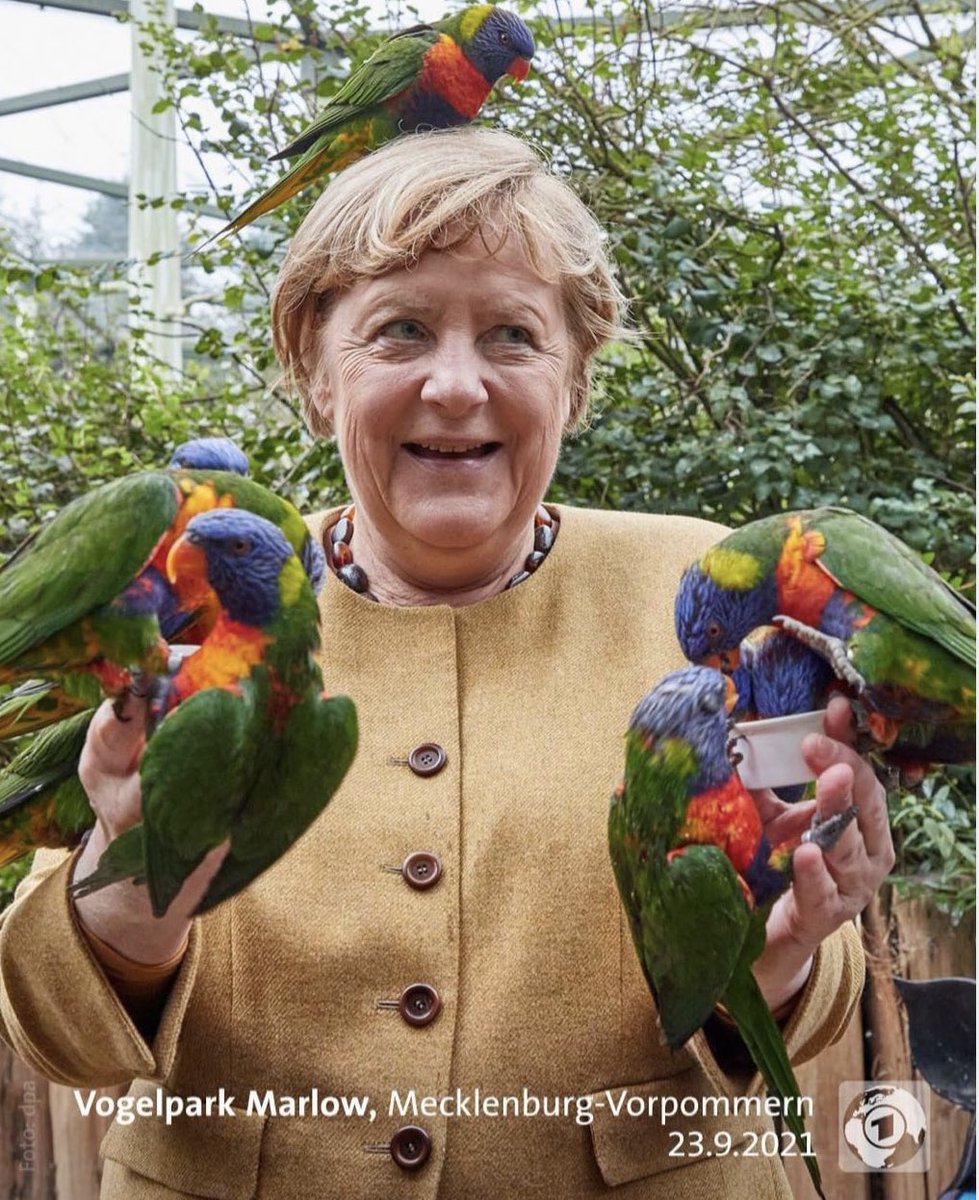 Teresa Werner (@resiresolut) on Twitter photo Hier sehen wir den Unterschied zwischen Nachplappern und Vorsingen. Und das wird mein einziges Statement zur #btw21 sein. Naja vielleicht noch: Im Zweifel die Frau wählen, denn Vorsingen können die gut. <a href="/tagesschau/">tagesschau</a> <a href="/ASteverding/">andrea steverding</a> Hier sehen wir den Unterschied zwischen Nachplappern und Vorsingen. Und das wird mein einziges Statement zur #btw21 sein. Naja vielleicht noch: Im Zweifel die Frau wählen, denn Vorsingen können die gut. <a href="/tagesschau/">tagesschau</a> <a href="/ASteverding/">andrea steverding</a>