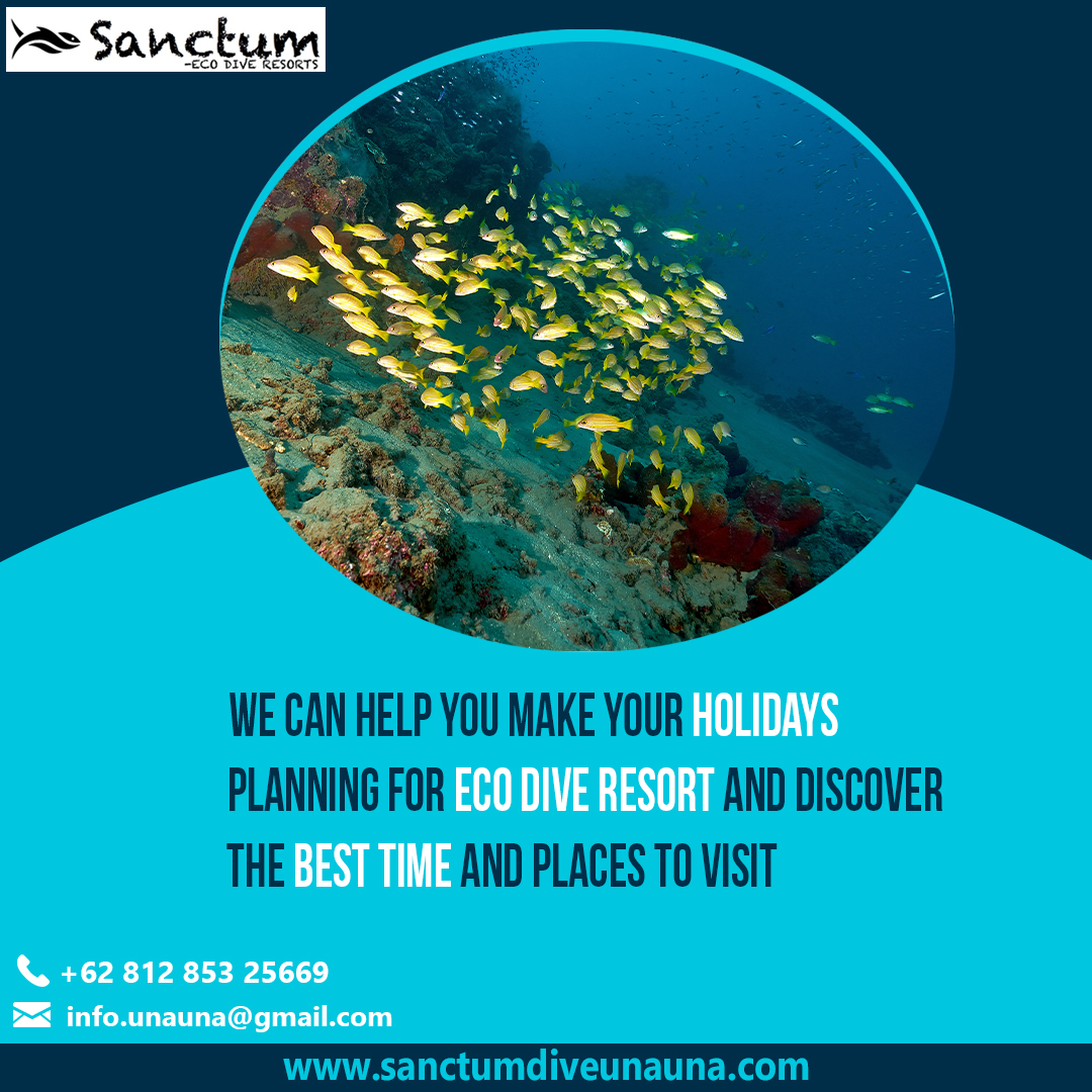 Sanctum Una Una offers Eco Dive Resort in Indonesia at reasonable prices. Enjoy this paradise with friends and family. 

#diveresort #diving #scuba #scubadiving #padi #ocean #scubadiver #scubatravel #scubalove #scubaworld #scubadivers #dive #scubadivingmag #scubaphoto #scubagirl