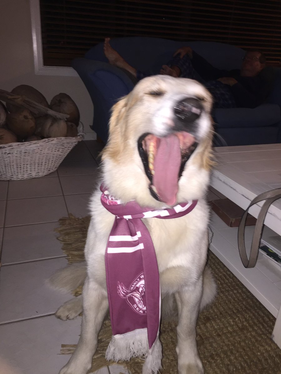 JoCMackey's tweet photo. @SeaEagles https://t.co/gmOQNv0ujN
