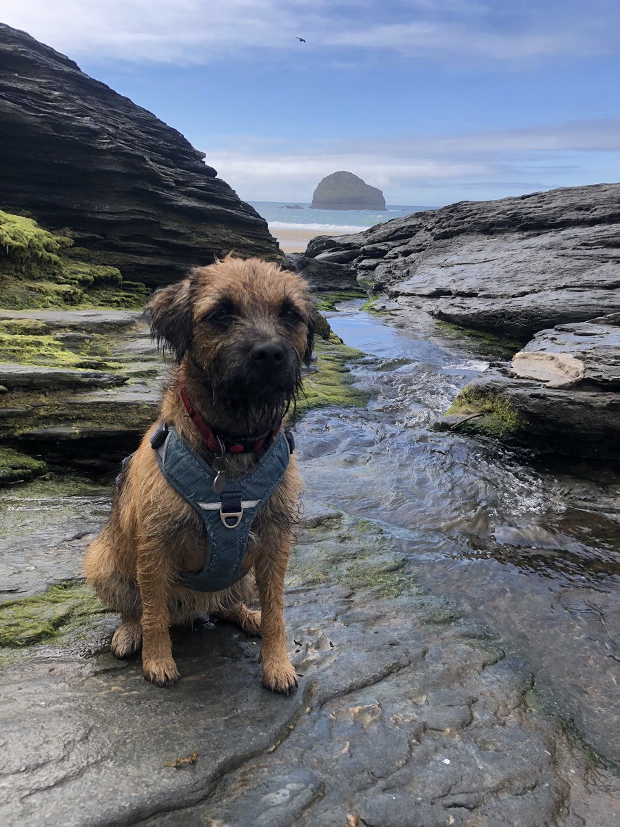 On Cornish adventures pals!