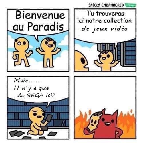 Mister Data 🐶 (@monsieur_data) on Twitter photo 