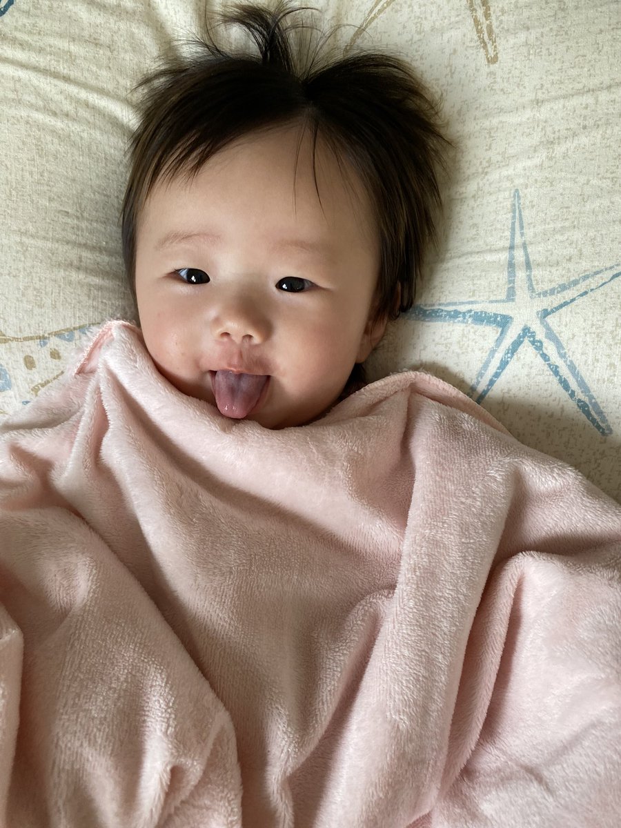 ちゃんまえ tweet media