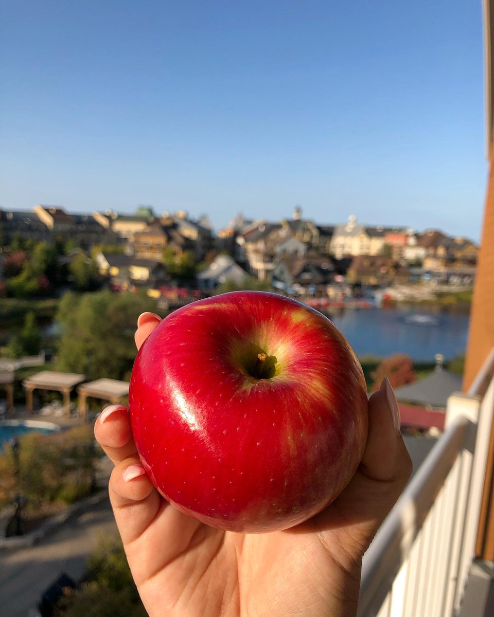 Apple Harvest Weekend is back! Join us in the Village on Sept. 9, 10 &amp; 11 to enjoy live music, family activities, fall colours hiking, cider tasting, scavenger hunts, Agora Path of Light and more! Let us know if you're coming by responding to our event: bit.ly/2XKThC3