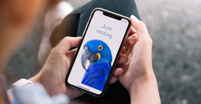 deb_infosec's tweet image. STILL ALIVE! #iOS12 gets 3 zero-day security patches – update now: It wasn't dead, just resting. dlvr.it/S8B5qP @RedSeal_co