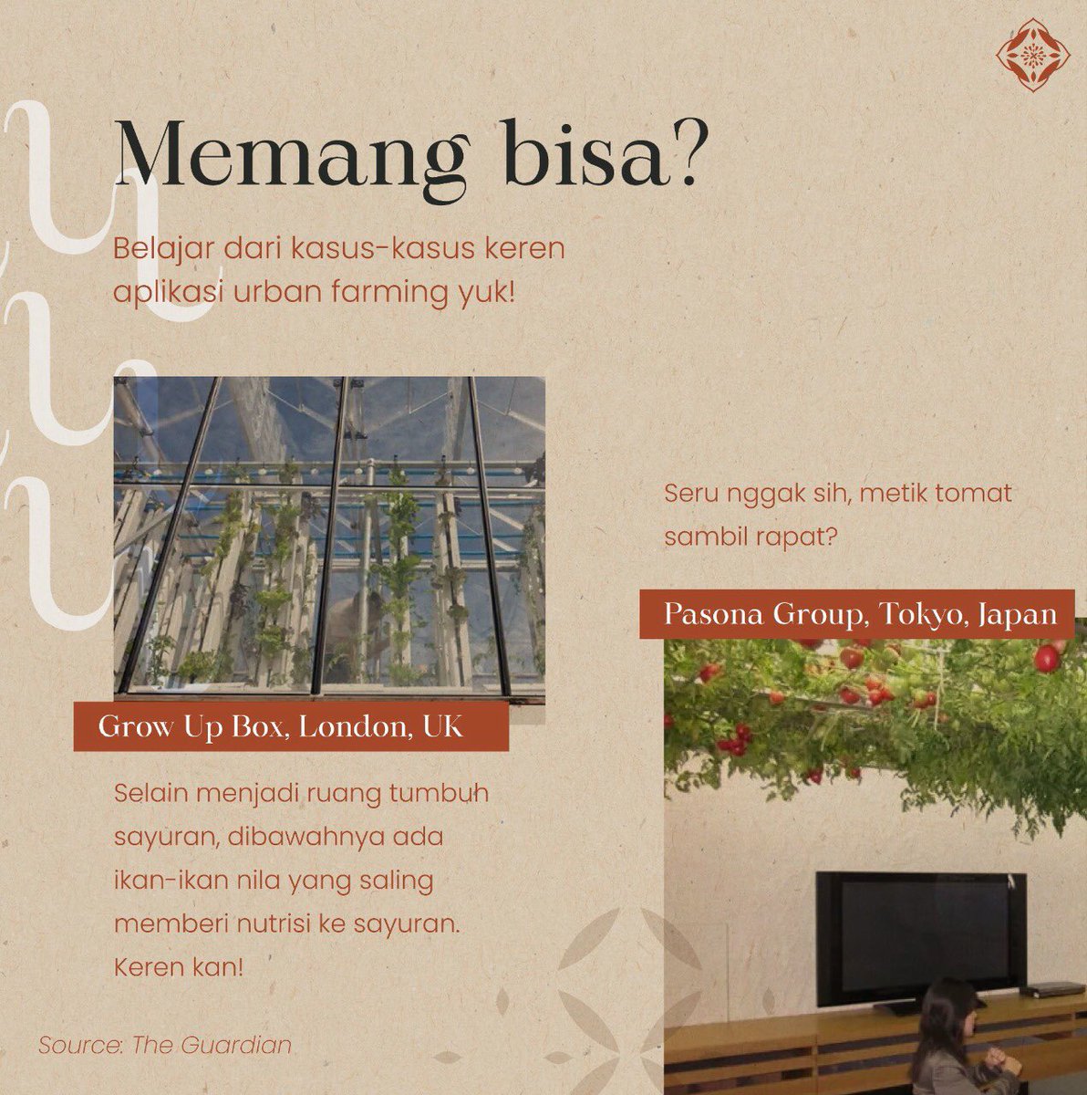 arvinpratama__'s tweet photo. Siapa bilang orang hidup di tengah kota tidak bisa bertani? Urban farming bisa loh jadi solusinya.

#SwasembadaAngan
#lpdp_ri
#IndonesiaTumbuhIndonesiaTangguh
#DiriUntukNegeri #AkuPastiMengabdi
#PK175 https://t.co/xYHXwYCEqg