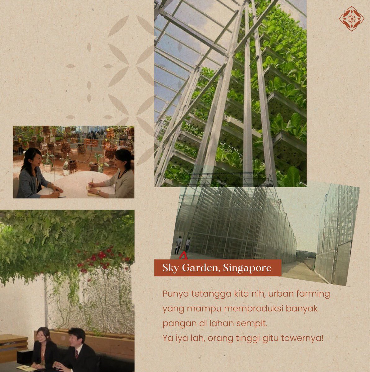 arvinpratama__'s tweet photo. Siapa bilang orang hidup di tengah kota tidak bisa bertani? Urban farming bisa loh jadi solusinya.

#SwasembadaAngan
#lpdp_ri
#IndonesiaTumbuhIndonesiaTangguh
#DiriUntukNegeri #AkuPastiMengabdi
#PK175 https://t.co/xYHXwYCEqg